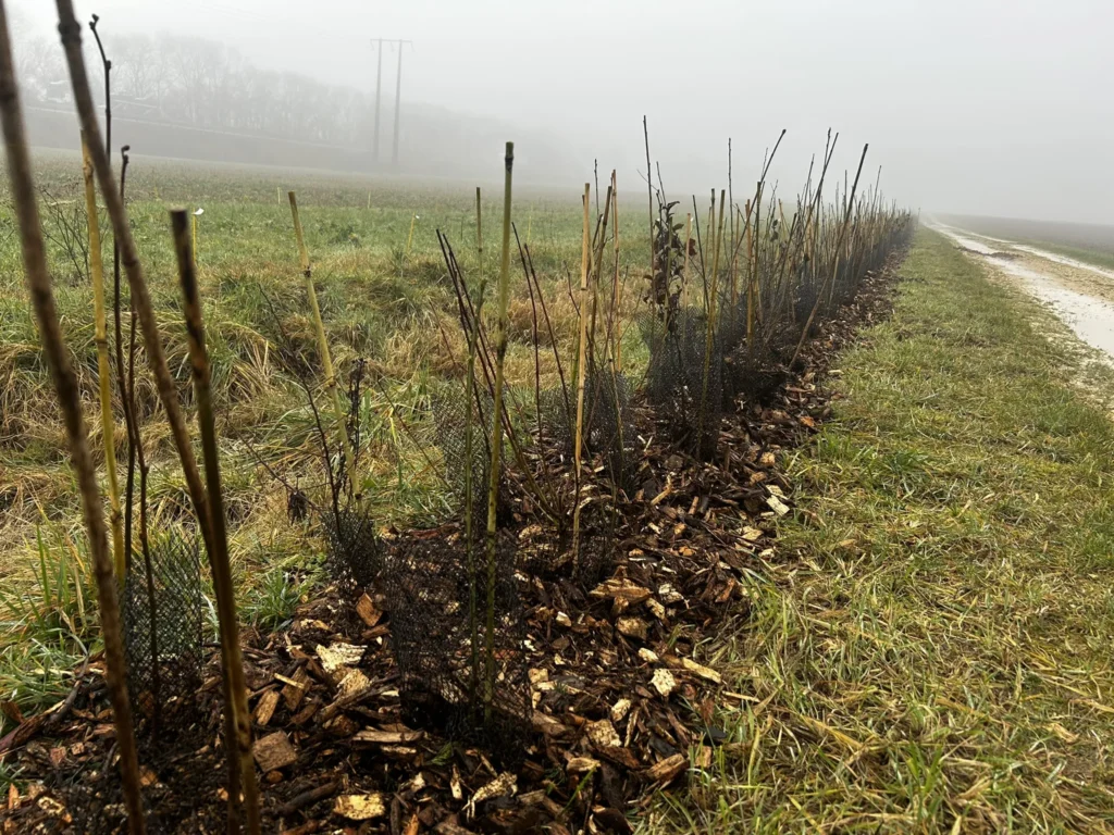 Lire la suite de l'actualité L&rsquo;hydraulique douce : une méthode concrète pour la gestion de l’eau sur le territoire