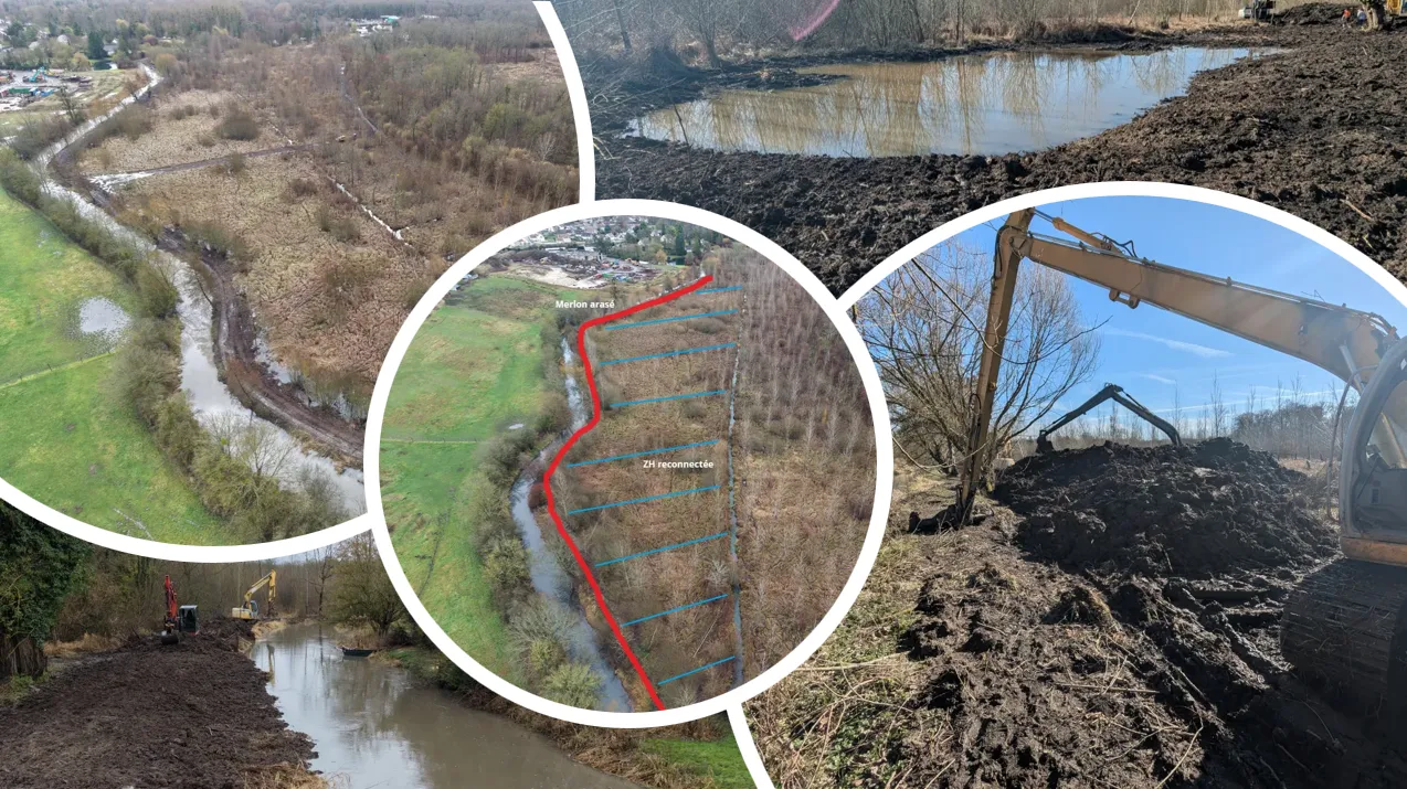 Lire la suite de l'actualité Travaux de reconnexion de la Nonette avec sa zone d&rsquo;expansion de crue à Borest