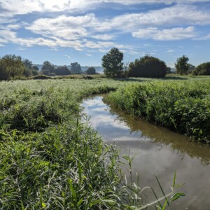 06/09 : La Launette restaurée 1 mois après travaux