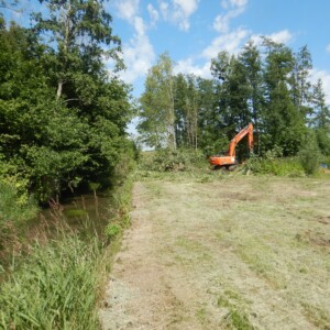 Baron : début des abattages