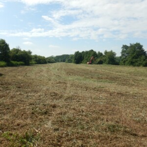 Débroussaillage du site avant terrassements