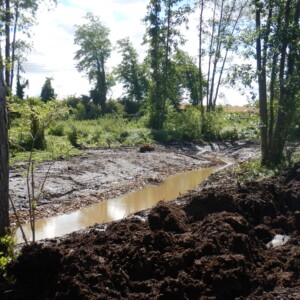 05/07 : Nouveau lit (rempli par les eaux de sources et de la nappe)