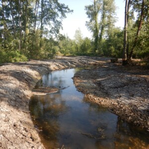 20/07 : nouveau lit en eau