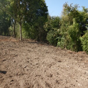 20/07 : comblement de l'ancien lit avec les terres de déblai