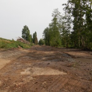 22/07 : Ancien lit remblayé