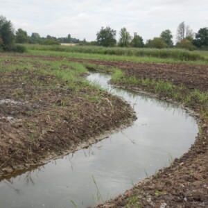 26/07 : Lit restauré