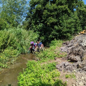 13/07 : pêche de sauvegarde avant comblement