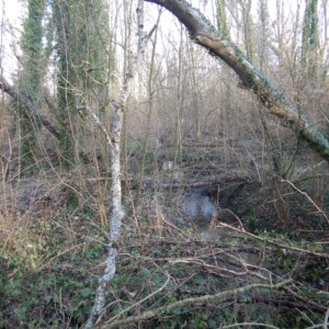 18/01/23 : Avant travaux (vue depuis la limite aval du site)