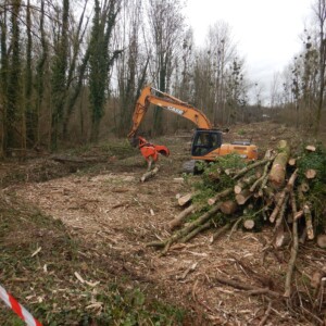 02/02/23 : Abattages préalables en période hivernale