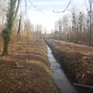 09/02/23 : site après abattages