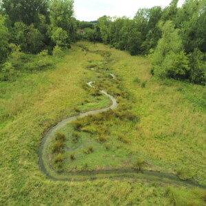 Evolution de la zone (Juillet 2025)