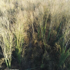 18/01/23 : vue aérienne avant travaux