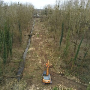 02/02/23 : Abattages sur l'emprise de travaux