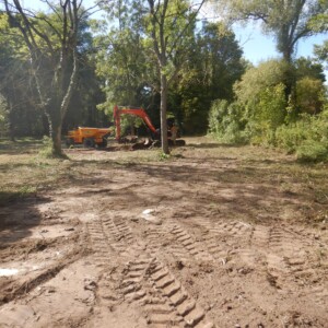 Décapage et étrépage de la zone humide