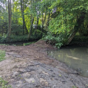 Berges de la mare retalutées en pentes douces