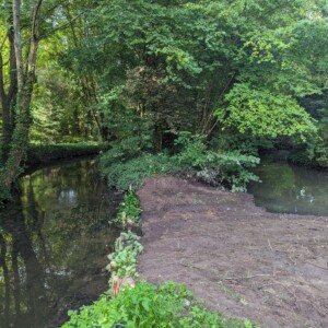Nouvelle berge avec surverse pour alimenter la mare en crues