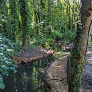 Banquettes végétalisées sur l'Aunette