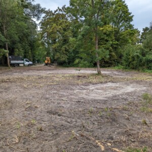 Zone humide étrépée