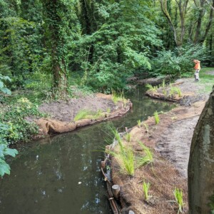 Banquettes végétalisées