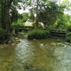 Vue après travaux (de l'aval des seuils vers l'amont)