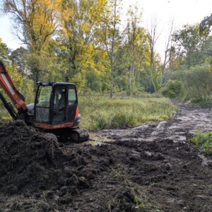 Décapage/étrépage de la zone humide