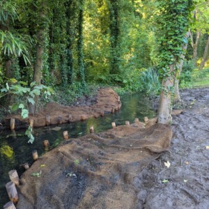 Banquette avant plantation des hélophytes