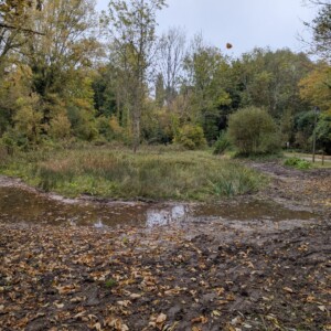 Zone humide à la fin des travaux