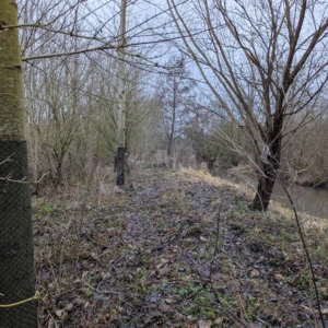 Berge (merlon) avant travaux