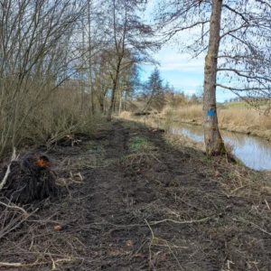 Débroussaillage du merlon (2026-02-04)