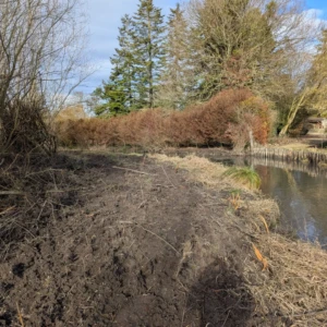 Merlon débroussaillé (2026-02-04)