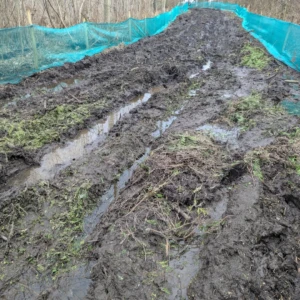 Chemin d'accès protégé par des filets anti batracien afin d'éviter l'accès aux zones de passage